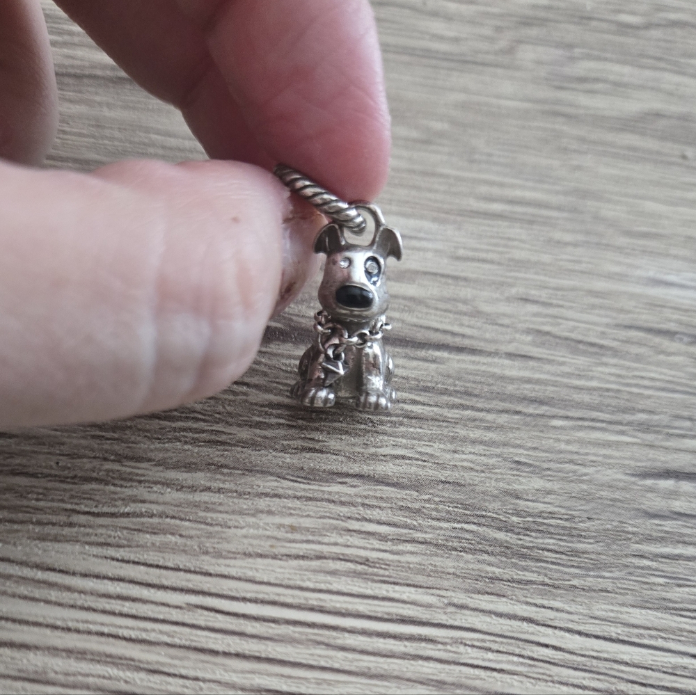 Brighton Dog Charm